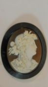 A 19th century carved shell cameo of Bacchus in an engraved jet mount. 5x4.5cm