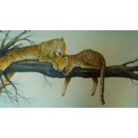 A framed acrylic on canvas by Paul Gasoir, a mother leopard and her cub grooming on a tree branch,
