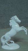 A Royal Belvedere Austrian white glazed ceramic rearing horse on oval base. Makers mark and numbered