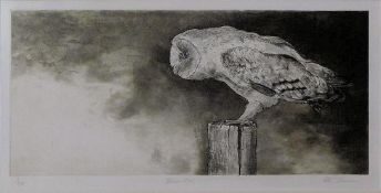 A framed and glazed limited edition 1/50 lithograph, barn owl, signed by Peter Beeson. 41x64cm