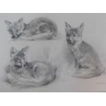 A framed and glazed pencil drawing, various fox studies, by John Edwards (British, born in 1940).