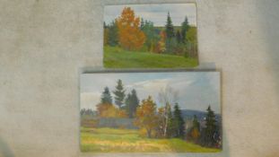 An unframed oil on canvas, Impressionist landscape, signed in Russian cyrillic, possibly N.