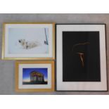 A signed photograph of the Penshaw monument, a signed and numbered photograph of a polar bear and