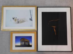 A signed photograph of the Penshaw monument, a signed and numbered photograph of a polar bear and