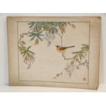 A Japanese watercolour painting of a yellow song bird in Wisteria boughs. Artists red seal mark.