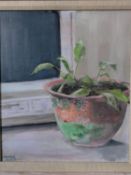 A framed oil on canvas, still life, potted plant on a ledge, signed Ken Ward and dated. H.45,5xW.