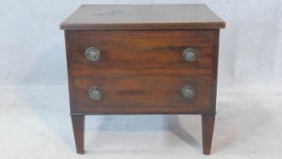 A 19th century mahogany commode cabinet with hinged top and dummy drawers on square tapering