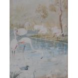 A framed and glazed watercolour, flamingos in a pond, by Y. Toppouzzade. 52x32cm