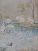 A framed and glazed watercolour, flamingos in a pond, by Y. Toppouzzade. 52x32cm