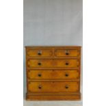 A Victorian painted pine chest of two short above three long graduating drawers with ceramic knob