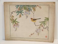 A Japanese watercolour painting of a yellow song bird in Wisteria boughs. Artists red seal mark.