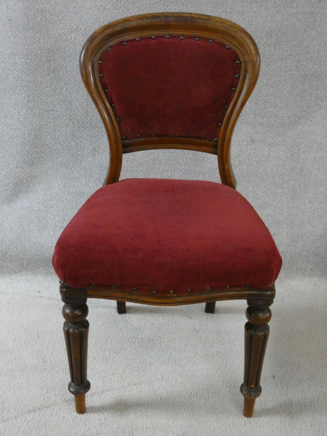 A set of four Victorian mahogany hooped back dining chairs in burgundy velour upholstery on reeded - Image 2 of 9