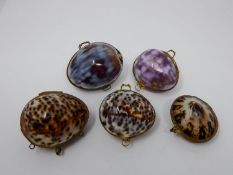 A collection of hinged sea shell trinket boxes. Four made from polished cowrie shells and one made