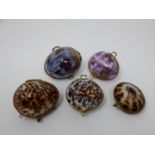 A collection of hinged sea shell trinket boxes. Four made from polished cowrie shells and one made