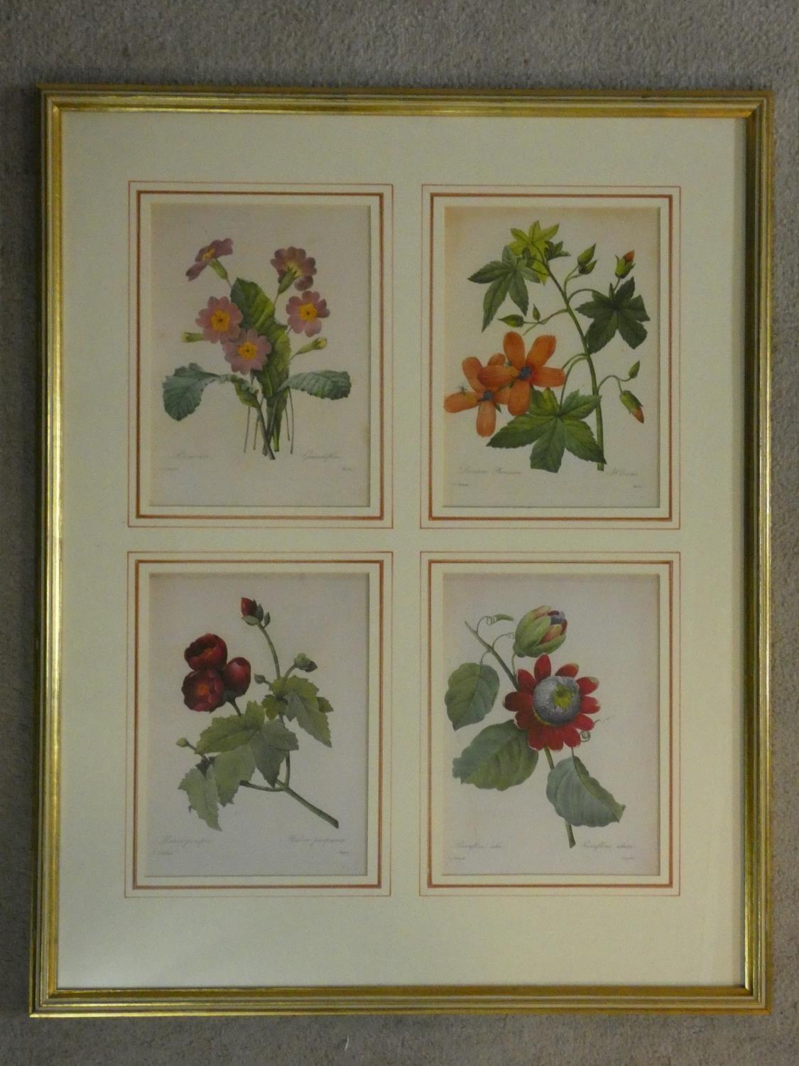 Two framed and glazed vintage botanical prints, each with four floral book plate illustration prints - Image 7 of 11