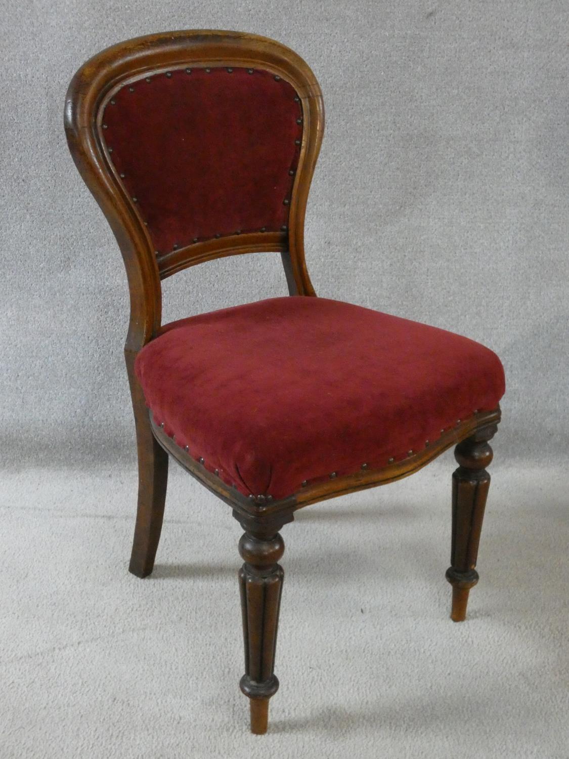 A set of four Victorian mahogany hooped back dining chairs in burgundy velour upholstery on reeded - Image 3 of 9