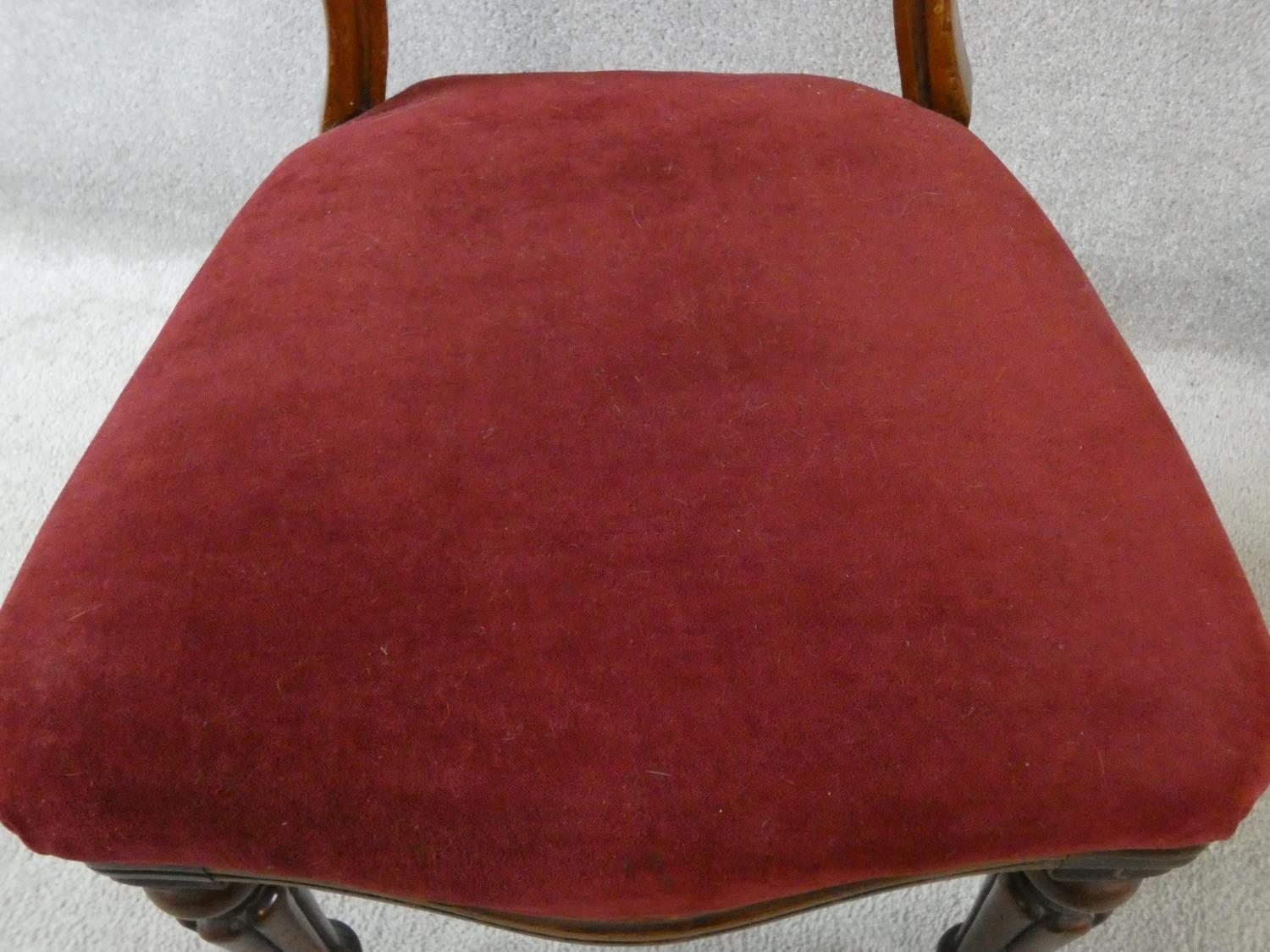 A set of four Victorian mahogany hooped back dining chairs in burgundy velour upholstery on reeded - Image 5 of 9