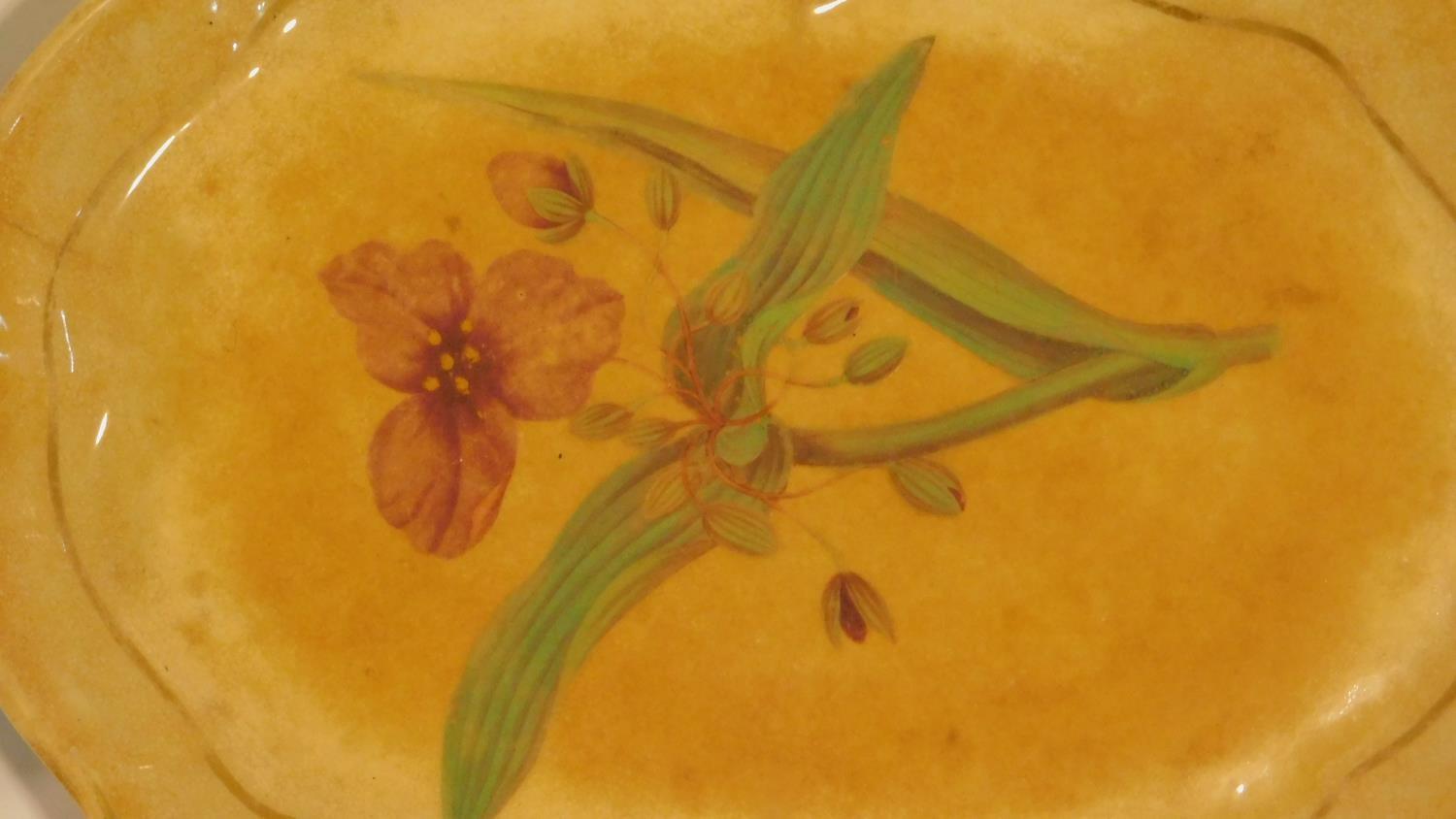 Four antique hand painted plates. Inlcluding a ceramic plate with a painted Spiderwort, two - Image 6 of 8