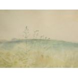 A framed and glazed watercolour, Spring, by British artist Mary Potter (1900-1981), gallery label to