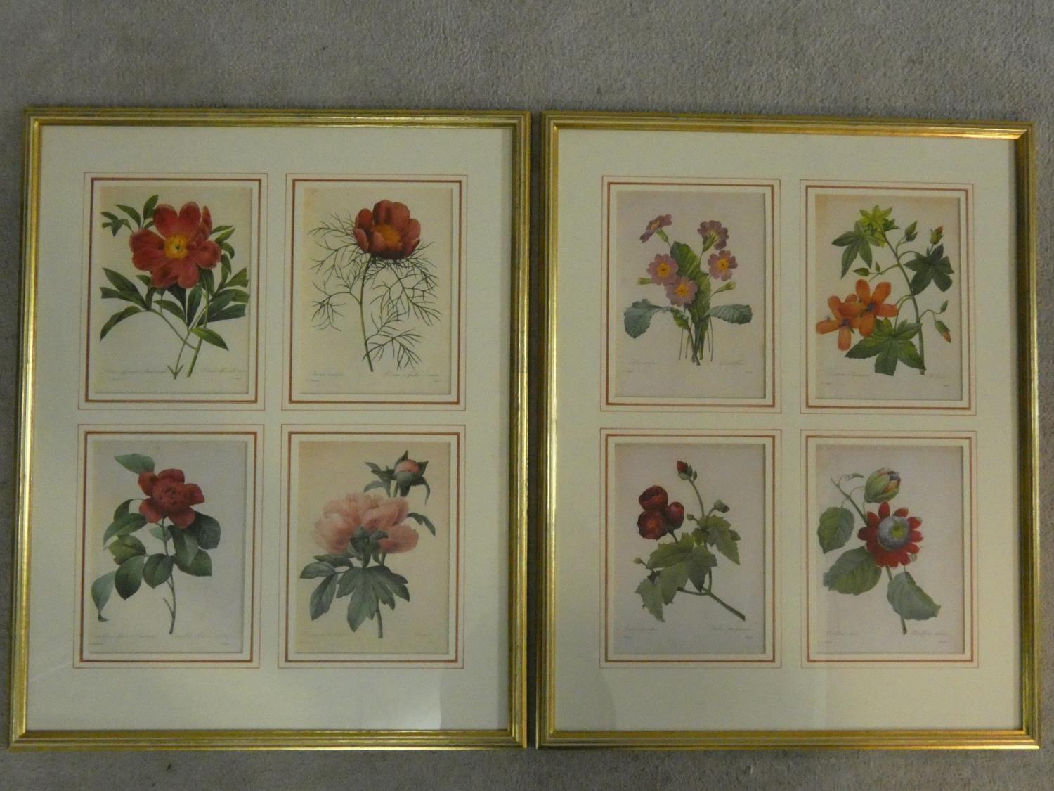 Two framed and glazed vintage botanical prints, each with four floral book plate illustration prints