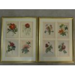 Two framed and glazed vintage botanical prints, each with four floral book plate illustration prints