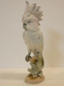 A large Royal Dux hand painted porcelain Cockatoo perched on a branch, pink triangular seal mark