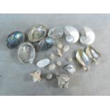 A collection of exotic seashells. Icluding two large pearl Nautilus shells, five Abalone shells, a