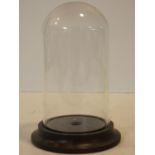A 19th century bell shaped glass display dome on turned mahogany base. H.21cm