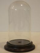 A 19th century bell shaped glass display dome on turned mahogany base. H.21cm