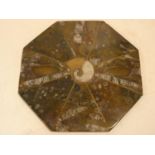 A polished ammonite and fossilized shell board with brass stringing and central brass inlaid