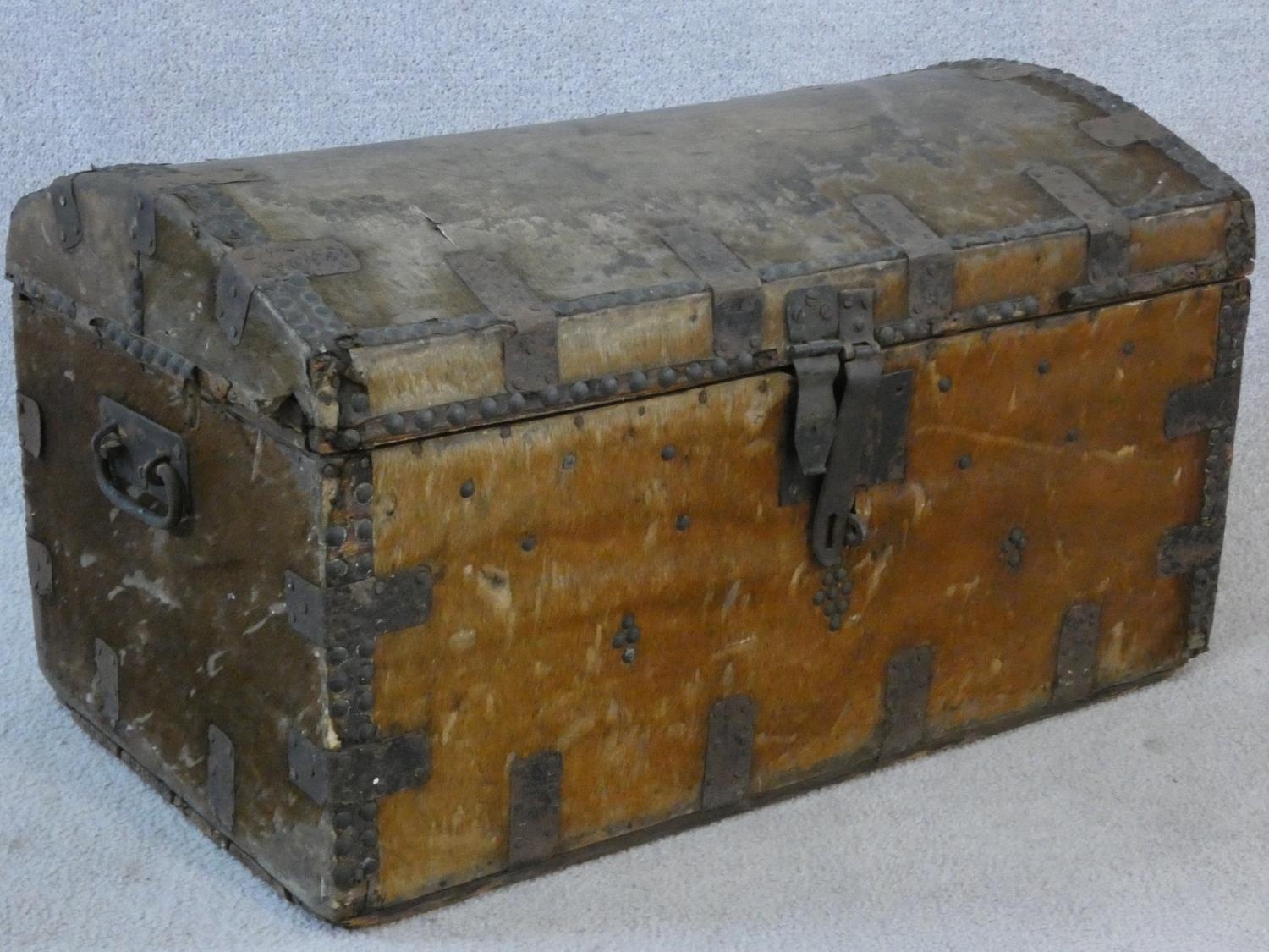 A 19th century iron bound domed top travelling trunk in deer skin hide covering. H.38 W.66 D.39cm - Image 2 of 6