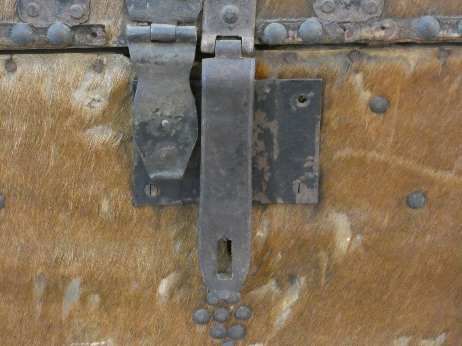 A 19th century iron bound domed top travelling trunk in deer skin hide covering. H.38 W.66 D.39cm - Image 6 of 6