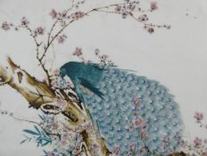 A hardwood framed and panel backed antique Chinese hand painted porcelain tile of a peacock in a