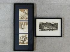 Two framed and glazed signed etchings. One of desert plants and one of desert mountains. Both