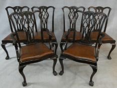 A set of six mahogany Chippendale style dining chairs with carved and pierced lattice backs above