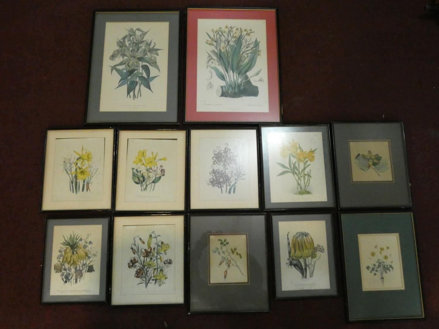 A collection of twelve framed and glazed antique botanical hand coloured engravings. H.59 W.45cm (