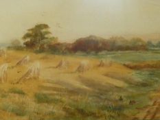A framed glazed 19th century watercolour of a hay field at harvest. H.49 W.76cm