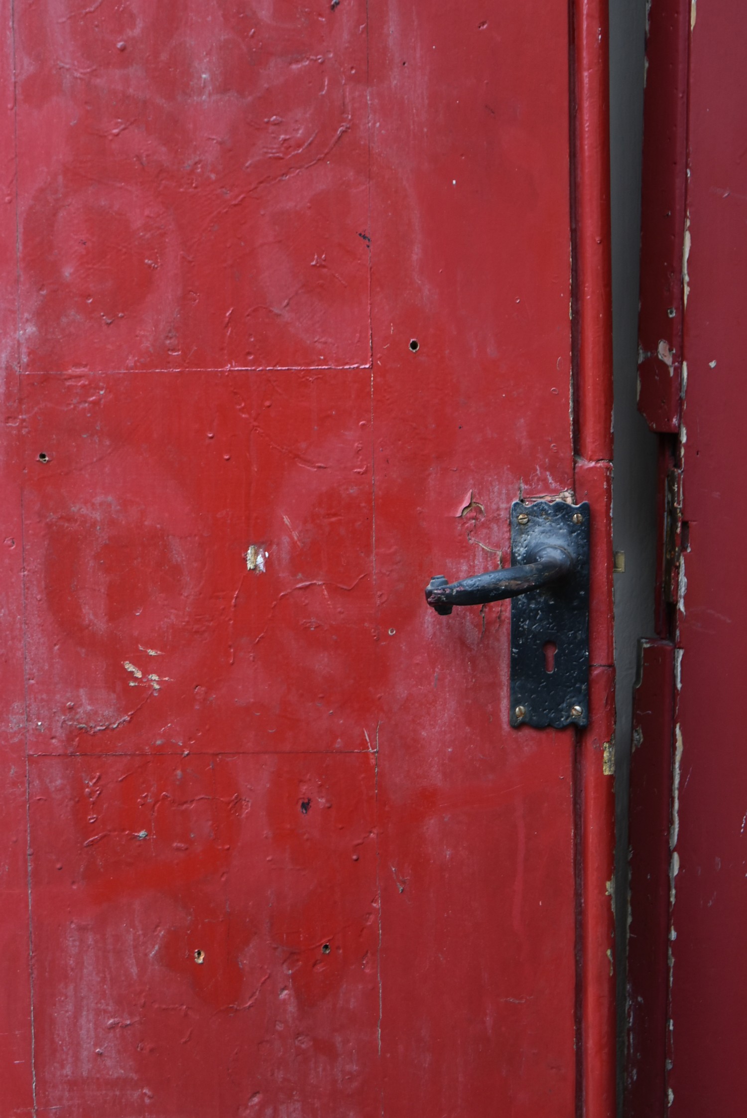 A pair of late 19th century arched and painted chapel doors with original iron handle. H.255xW.106cm - Image 3 of 4