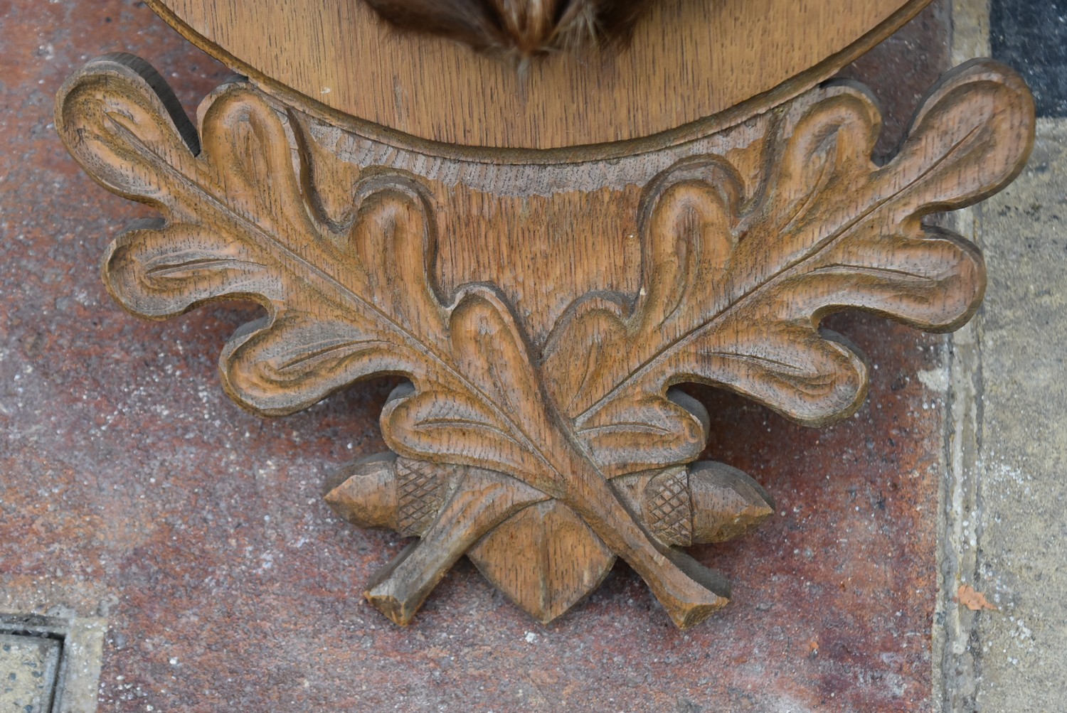 A taxidermy European Mouflon head mounted on carved oak leaf shield. H.88cm - Image 7 of 7