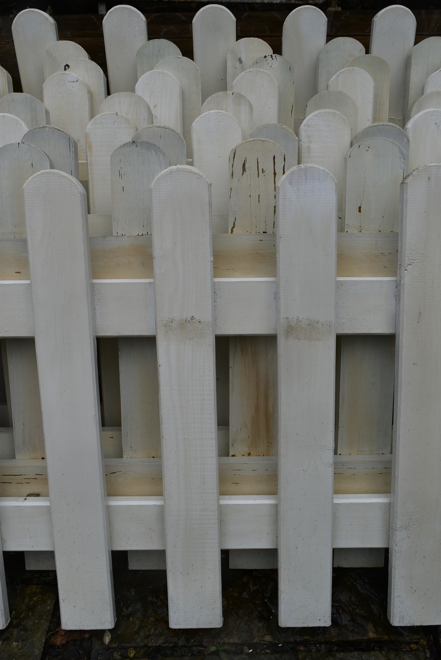 A collection of nine lengths of white painted wooden picket fencing. H.50xW.125cm - Image 2 of 3