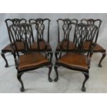 A set of six mahogany Chippendale style dining chairs with carved and pierced lattice backs above