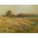 A framed glazed 19th century watercolour of a hay field at harvest. H.49 W.76cm