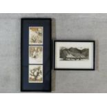 Two framed and glazed signed etchings. One of desert plants and one of desert mountains. Both