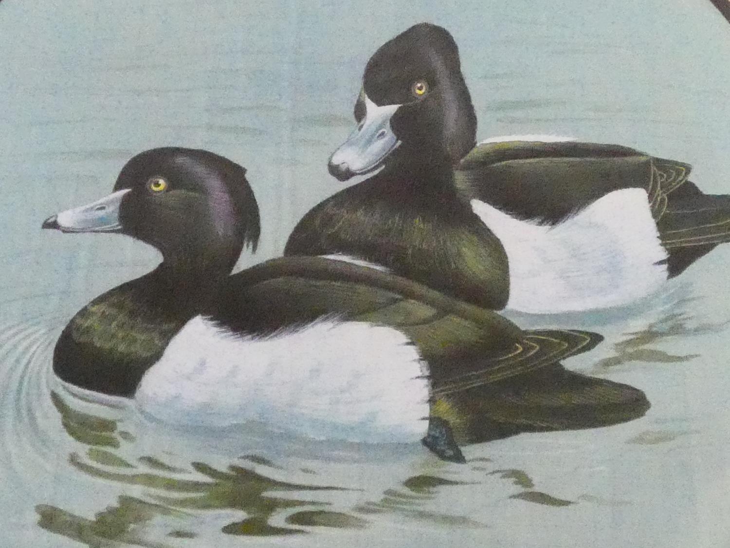 A framed and glazed silk painting of a pair of Tufted Ducks on the water. H.51 W.39cm - Image 5 of 6