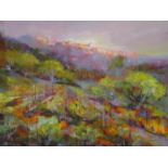 Robert Nyel (1930-2016) A framed oil on canvas, titled 'Gassin'. French rural landscape, signed.
