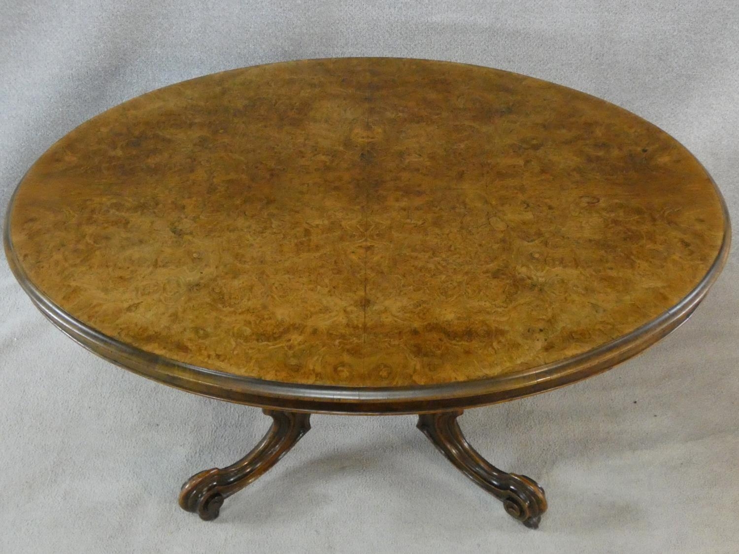 A Victorian burr walnut tilt top dining table on quatreform carved swept supports. H.72 L.137 W. - Image 2 of 4