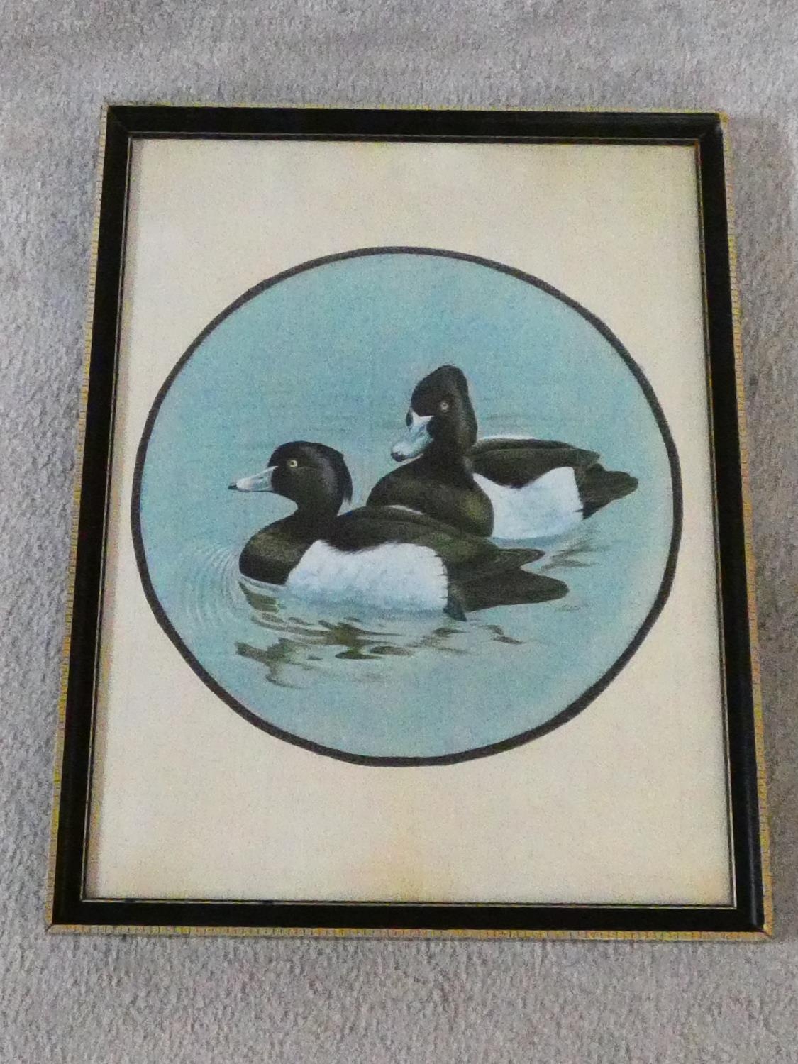 A framed and glazed silk painting of a pair of Tufted Ducks on the water. H.51 W.39cm - Image 2 of 6