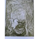A framed and glazed limited signed etching by American artist Aimee Birnbaum, titled 'Ill met by