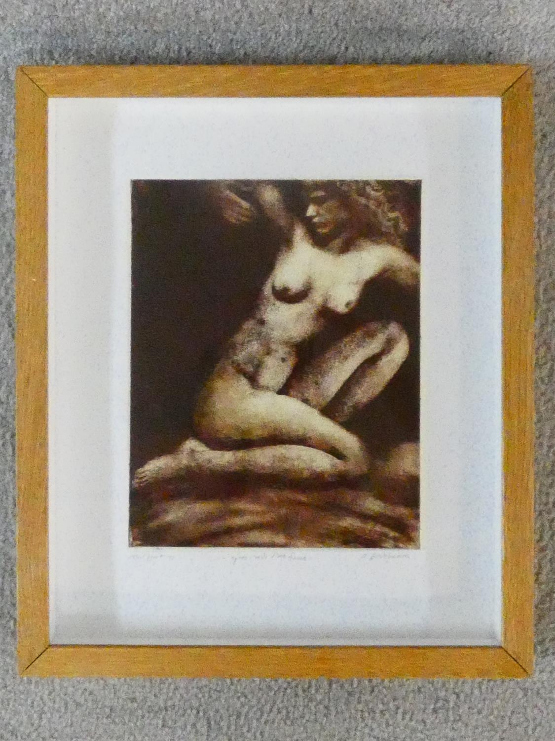 A framed and glazed limited signed artist's proof etching by American artist Aimee Birnbaum, - Image 2 of 7