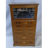 An Edwardian mahogany and satinwood with ebony inlaid specimen cabinet with leaded glass fall